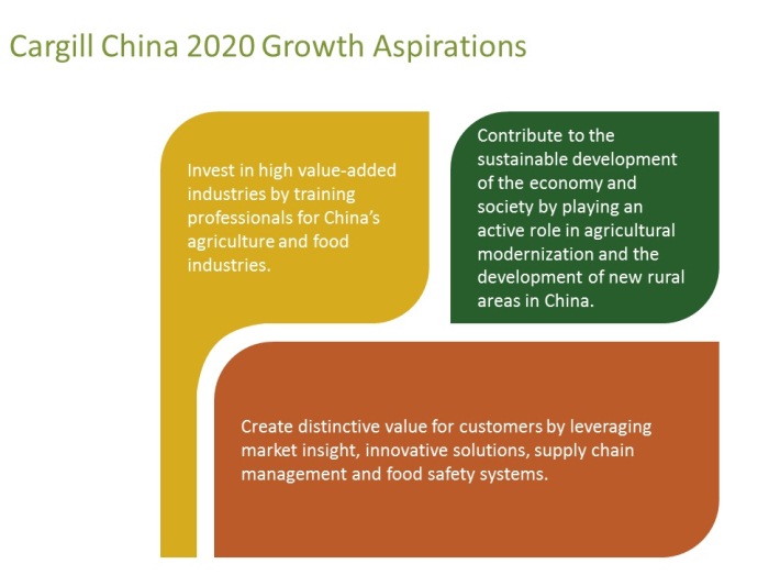 China 2020 growth inpage