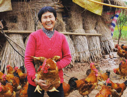 inpage-china-sustainabilty-1