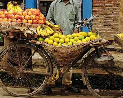 经济学人智库：“从农场到餐桌”食物供应链有待提升