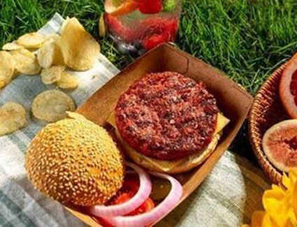 inpage-plantever-patty inpage-plantever-patty