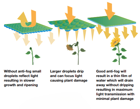 Anti-fog sunflowers graphic