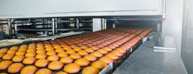 Baking Belt Conveyor Belt