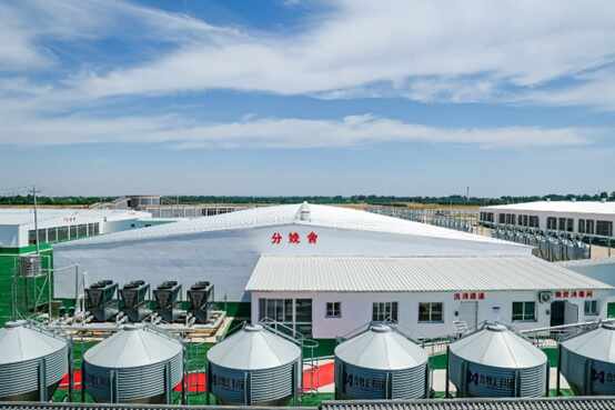 致力于服务中国及亚洲养猪行业 