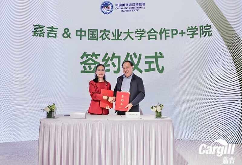 在第六届中国国际进口博览会期间